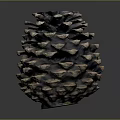 Pine Cone With Natural Scaly Brown Texture Isolated On Dark Background